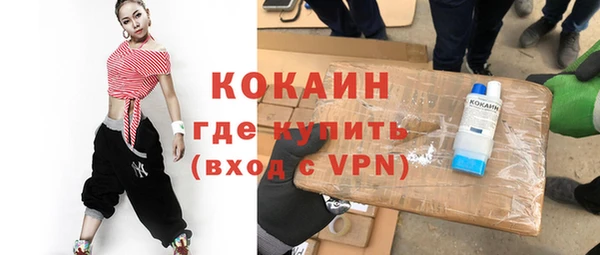 шишки Богородск