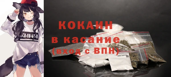 спайс Богданович