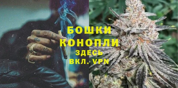 шишки Богородск