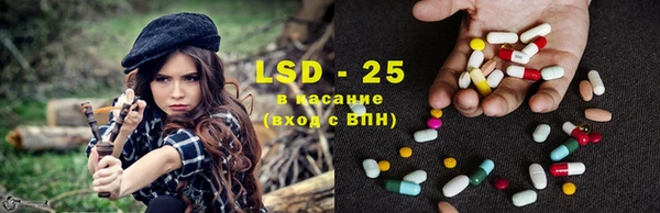 спайс Богданович